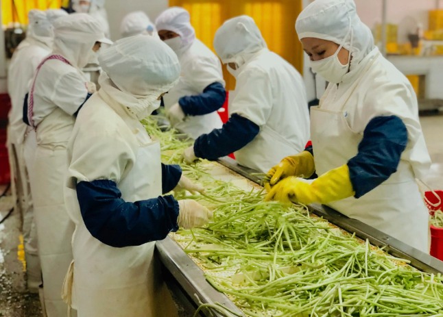 三種食品污水處理設(shè)備工藝流程，看看哪種適合您？