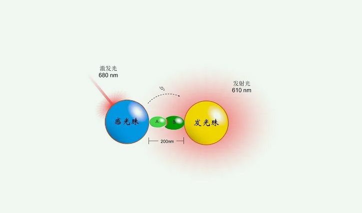 化學(xué)發(fā)光法準(zhǔn)確度高嗎(化學(xué)發(fā)光法是什么原理) 化學(xué)發(fā)光法準(zhǔn)確度高嗎(化學(xué)發(fā)光法是什么原理)